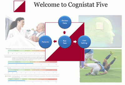 Cognistat Assessment System